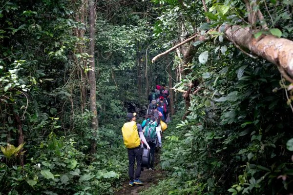 Grupo de mochileiros caminhando por uma trilha em meio à vegetação tropical.