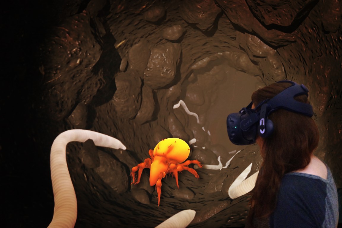 Fotomontage zur VR-Anwendung "Abenteuer Bodenleben", Senckenberg Museum für Naturkunde Görlitz, (C) Uwe Vaartje