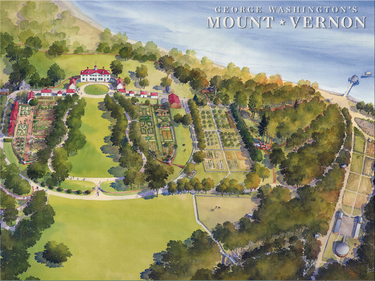 MOUNT VERNON Catmap1 