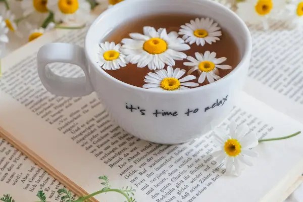 White cup of tea with chamomile flowers floating on the surface, resting on an open book.