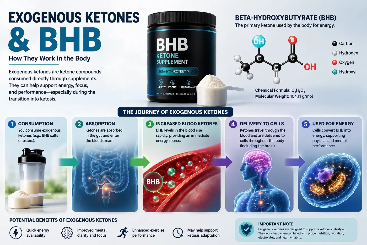Educational infographic explaining beta-hydroxybutyrate (BHB) and exogenous ketones used in ketogenic supplementation.