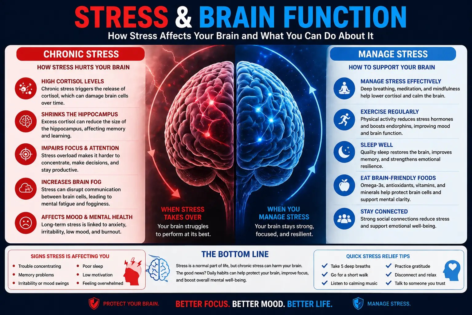 Impact of stress hormones on brain energy and focus