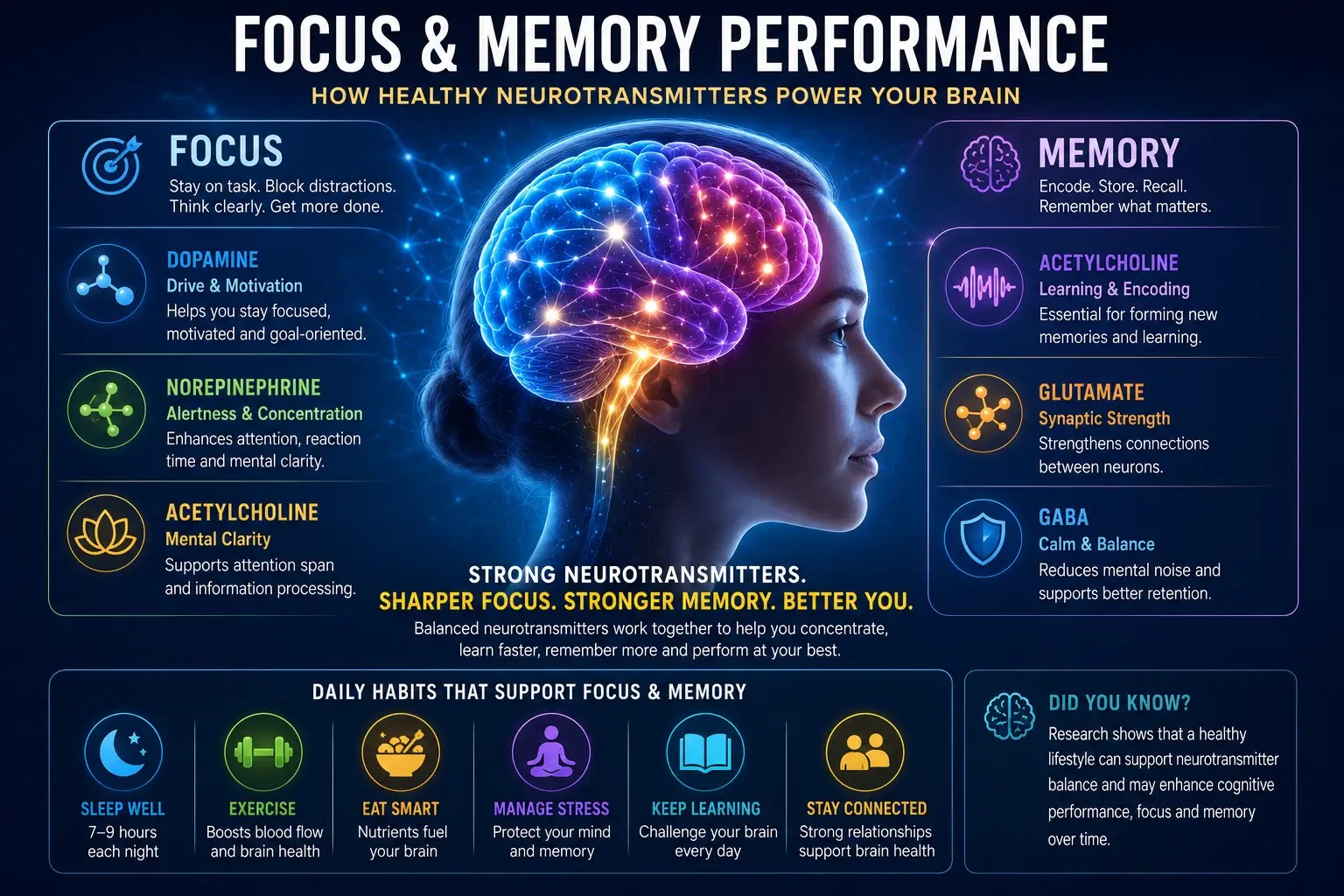 Professional illustration showing healthy brain activity associated with focus and memory performance.
