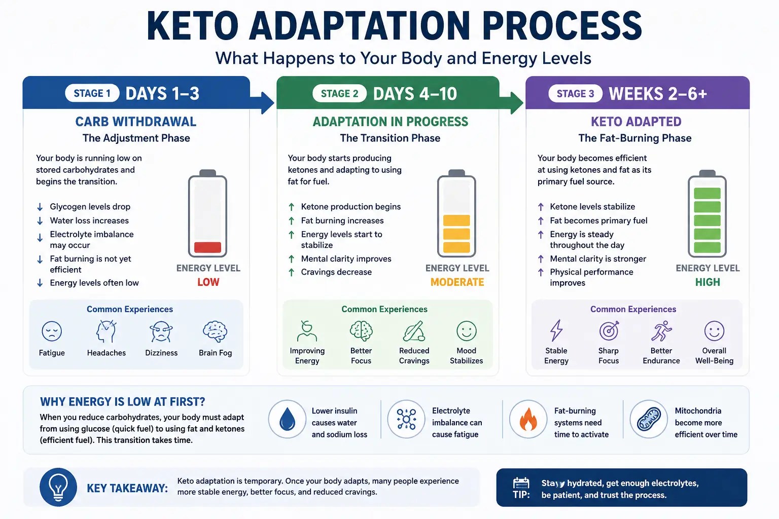 Timeline showing the physiological adaptation process that occurs when transitioning into ketosis.