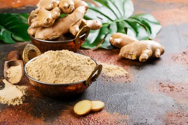 Fresh ginger root and ground ginger powder illustrating Zingiber officinale, a traditional botanical ingredient studied for its role in digestive function and gastrointestinal comfort