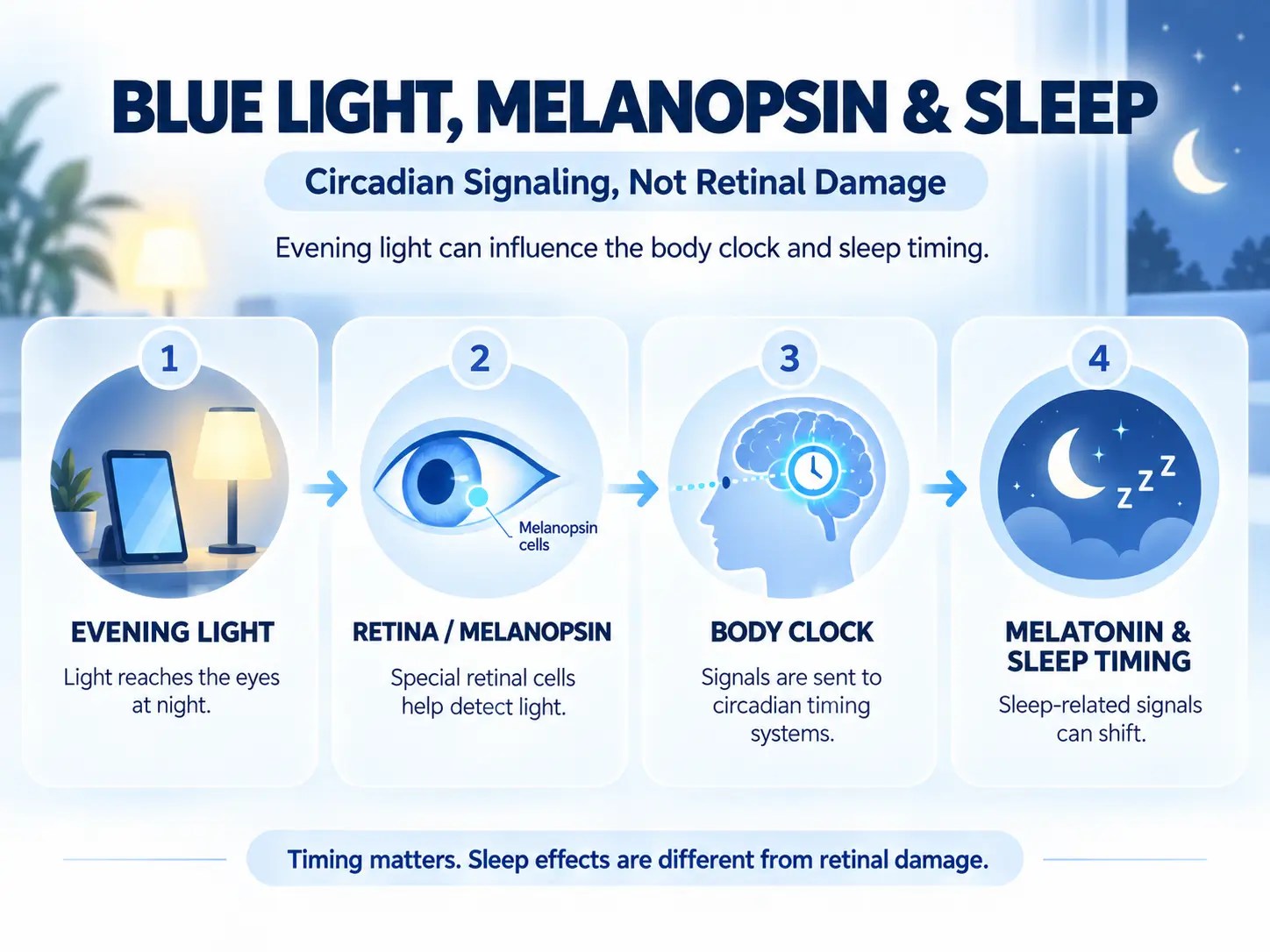 How evening light influences melanopsin, circadian rhythm, melatonin and sleep timing