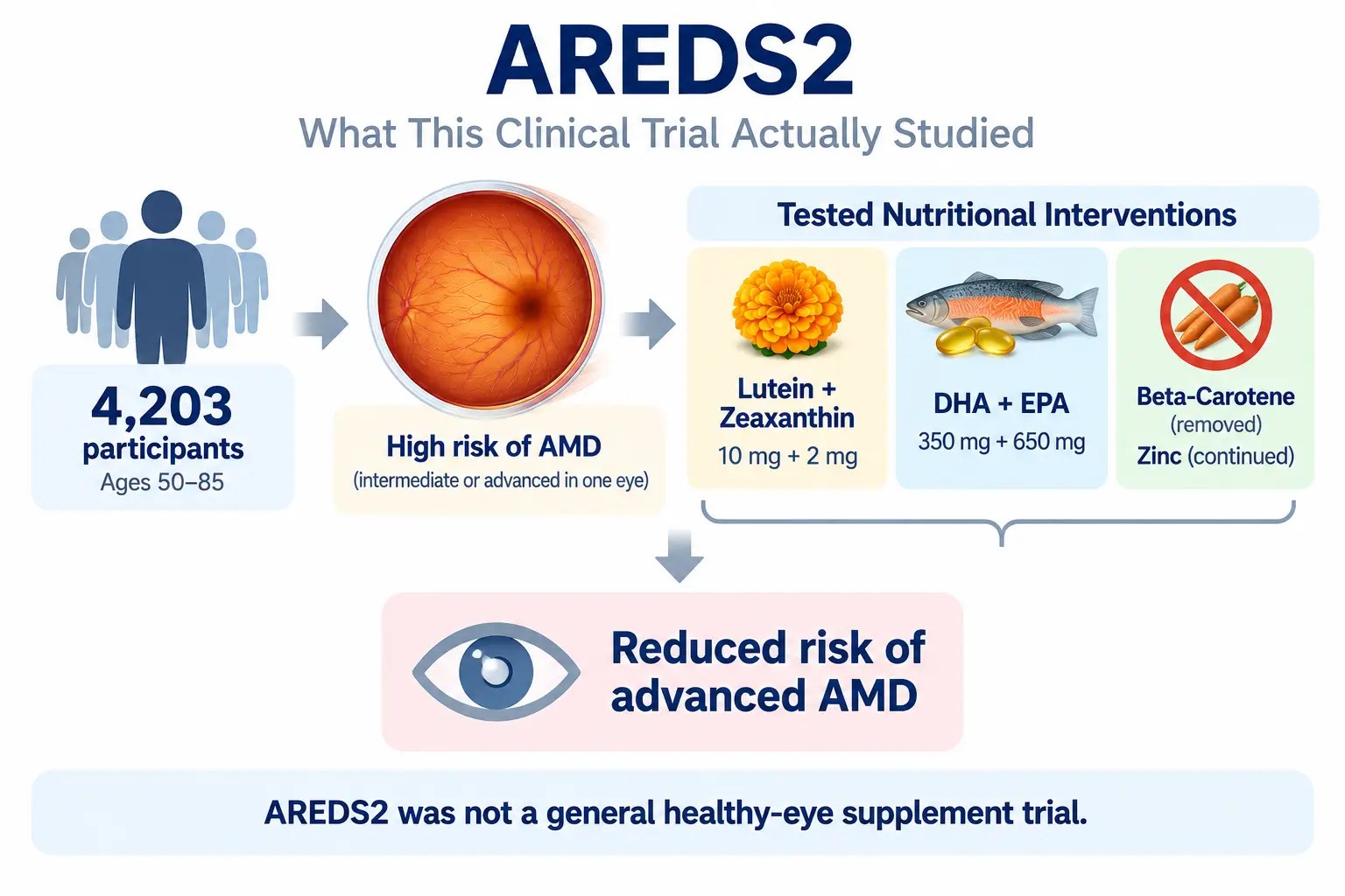 AREDS2 clinical trial diagram showing 4,203 high-risk AMD participants and the lutein, zeaxanthin, DHA, EPA, beta-carotene, and zinc interventions studied