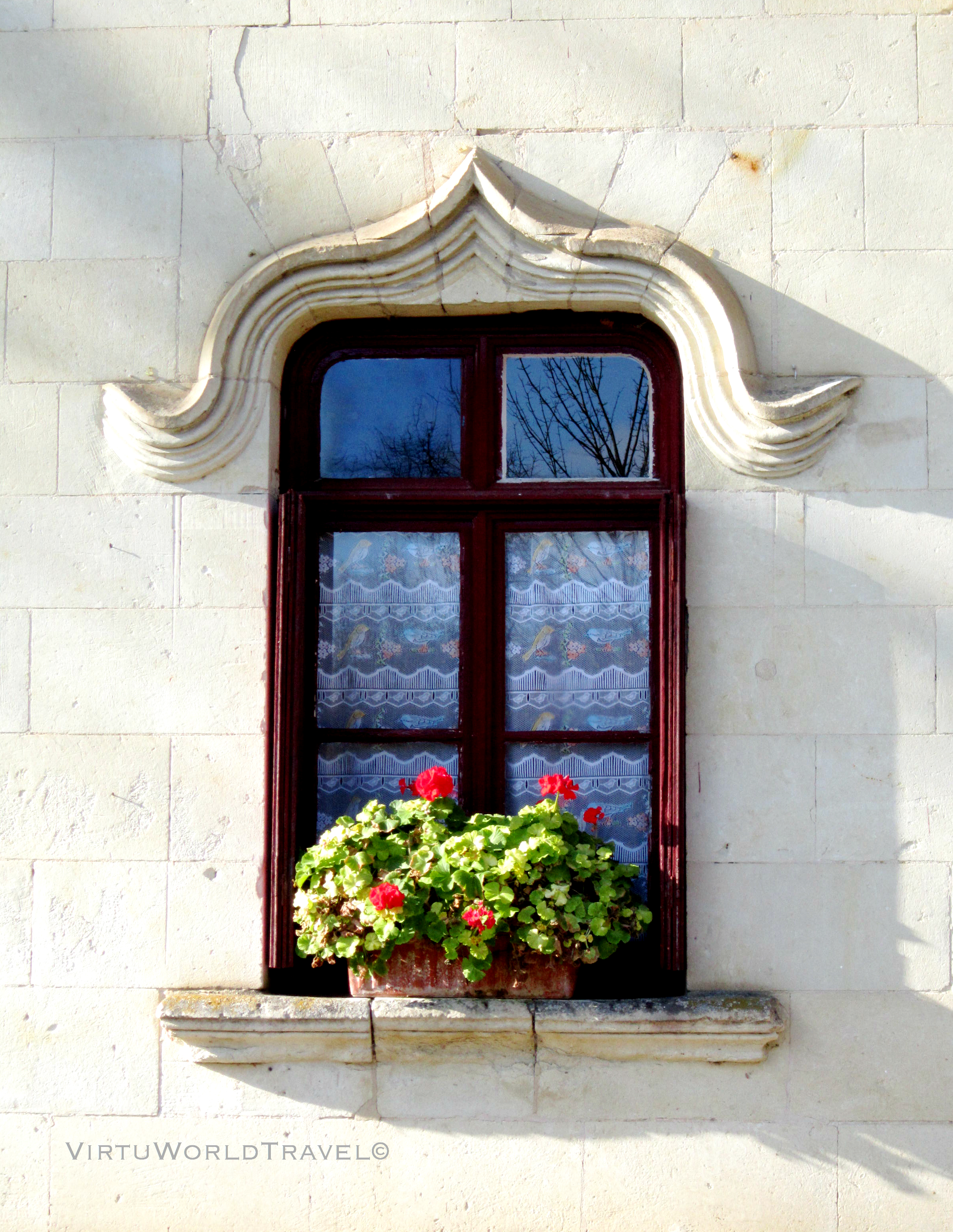 Window