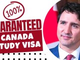 How To Apply For A Canadian Study Permit