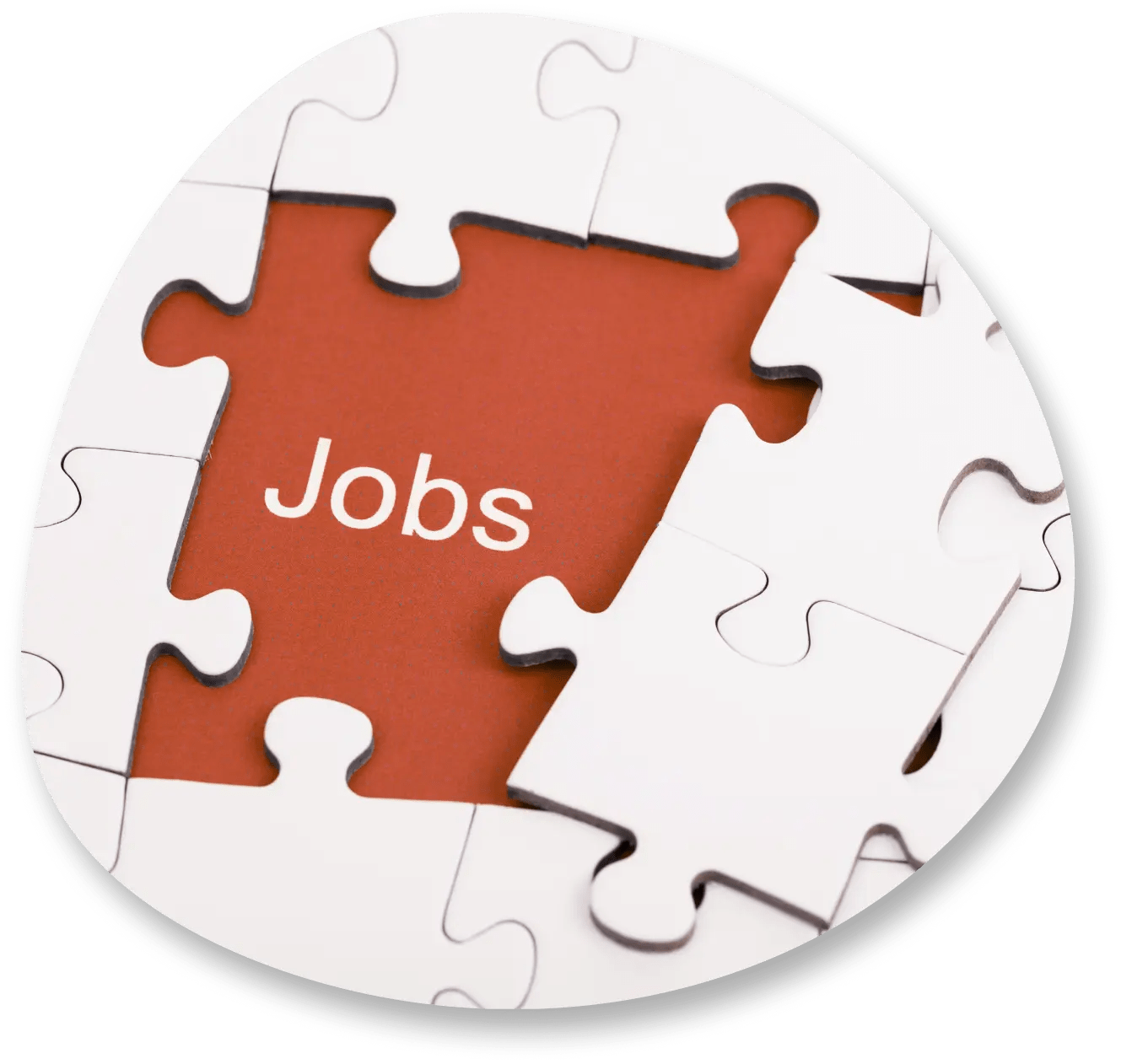 Jobs Vacancies from visa visa king
