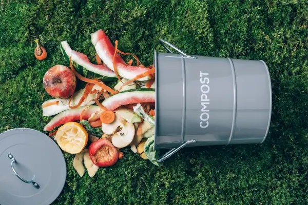 Compostagem na Hidroponia