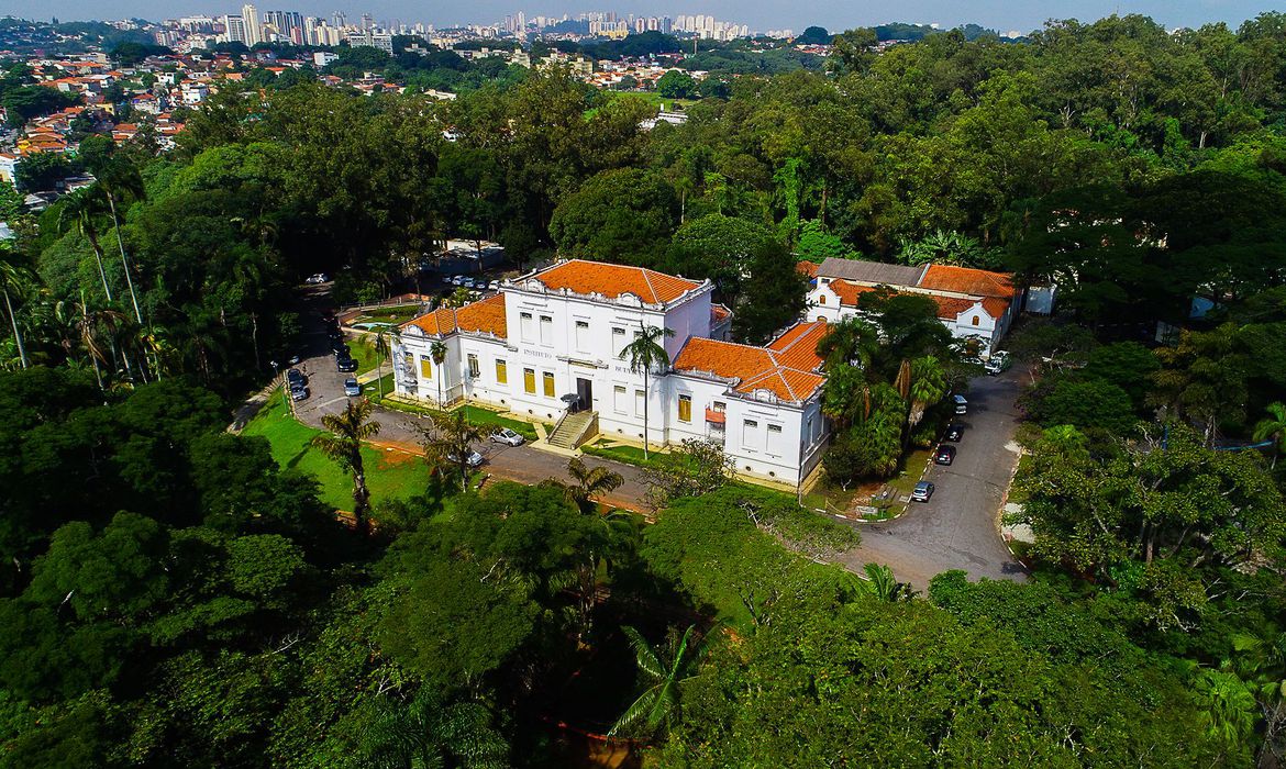 soro em animais para tratar covid-19,Instituto Butantan