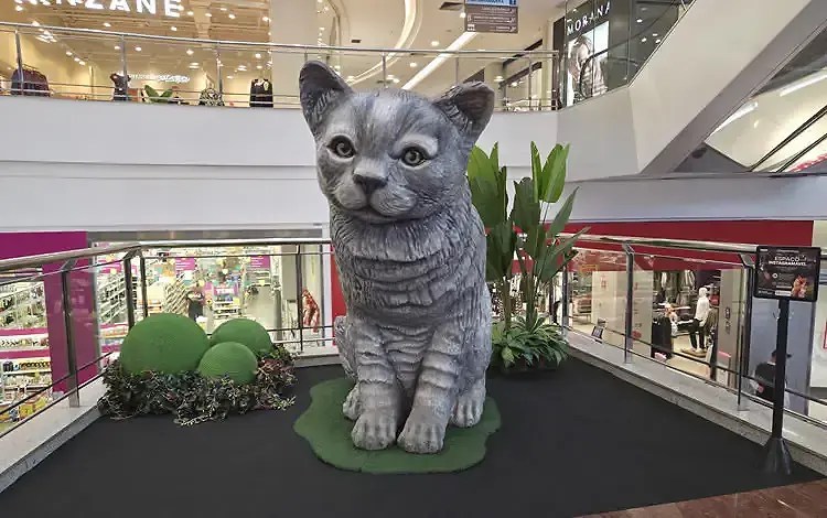 exposição pet que amamos