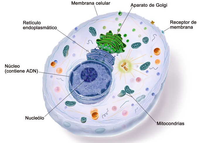 What is cell and gene therapy