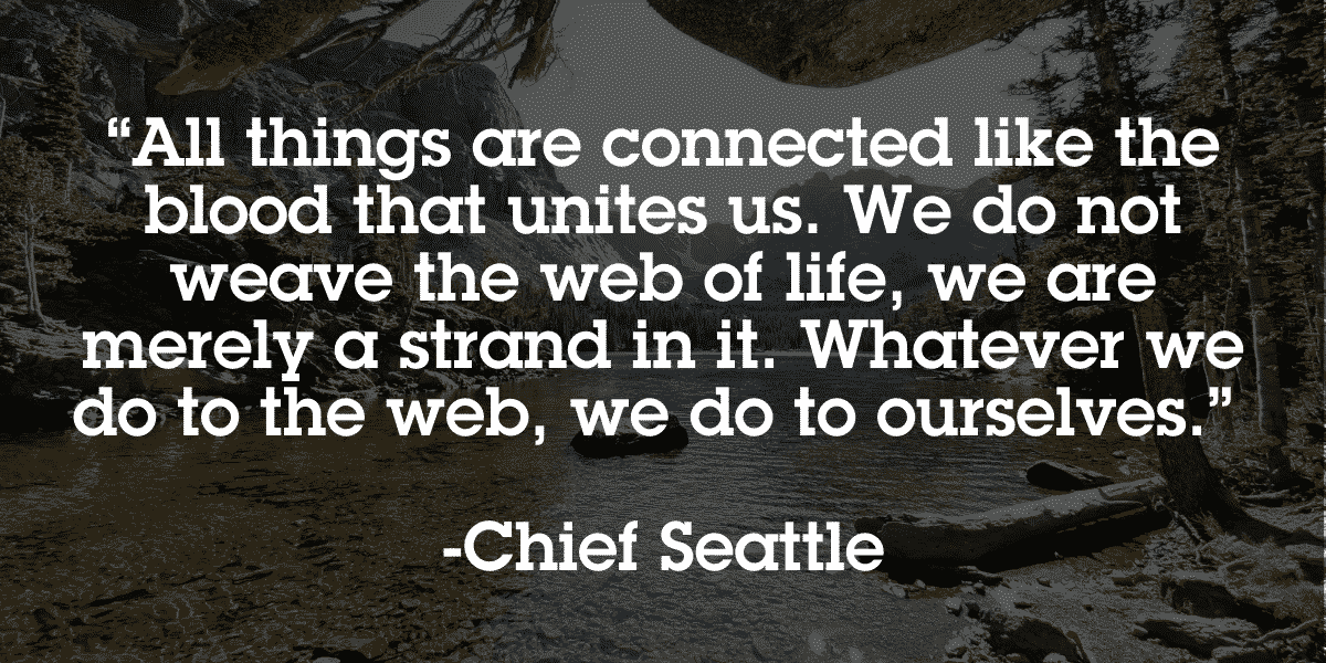 See more ideas about words, inspirational quotes, . Social Connection Quotes Our 33 Favorite Quotes Visible Network Labs