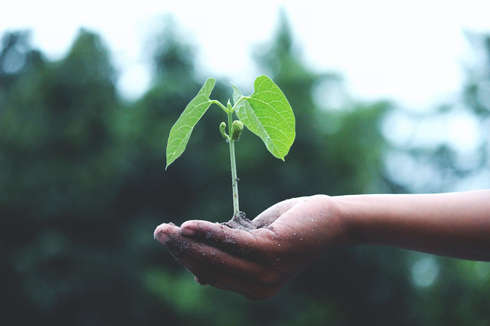 Agrotransformación reunirá a más de 200 actores del sector agropecuario y pesquero nacional para conocer lo último en innovación