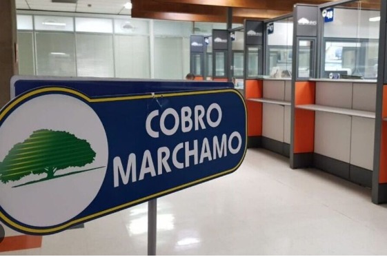Inconsistencias en el impuesto a la propiedad de Vehículos obliga al INS a suspender cobro de marchamo 2024