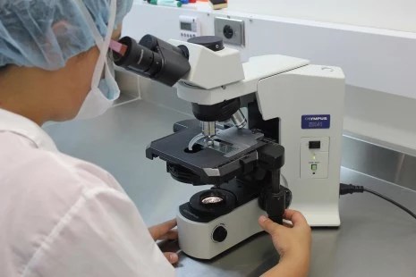 Panamá se consolida como destino de congresos con la IETS 2026