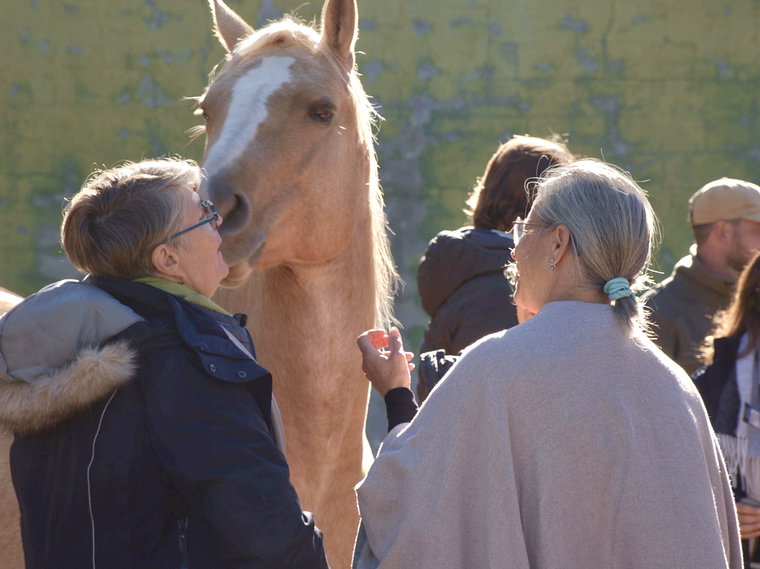 Vendre quand on est équicoach : pourquoi c’est si compliqué ?