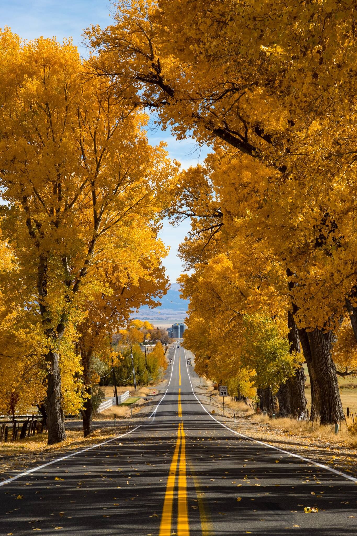 Genoa is located within the carson river basin, at the base of the eastern slope of the sierra nevada. Fall Trees In Genoa Carson Valley Nevada Genoa Gardnerville Minden Topaz Lake Carson Valley Visitors Authority