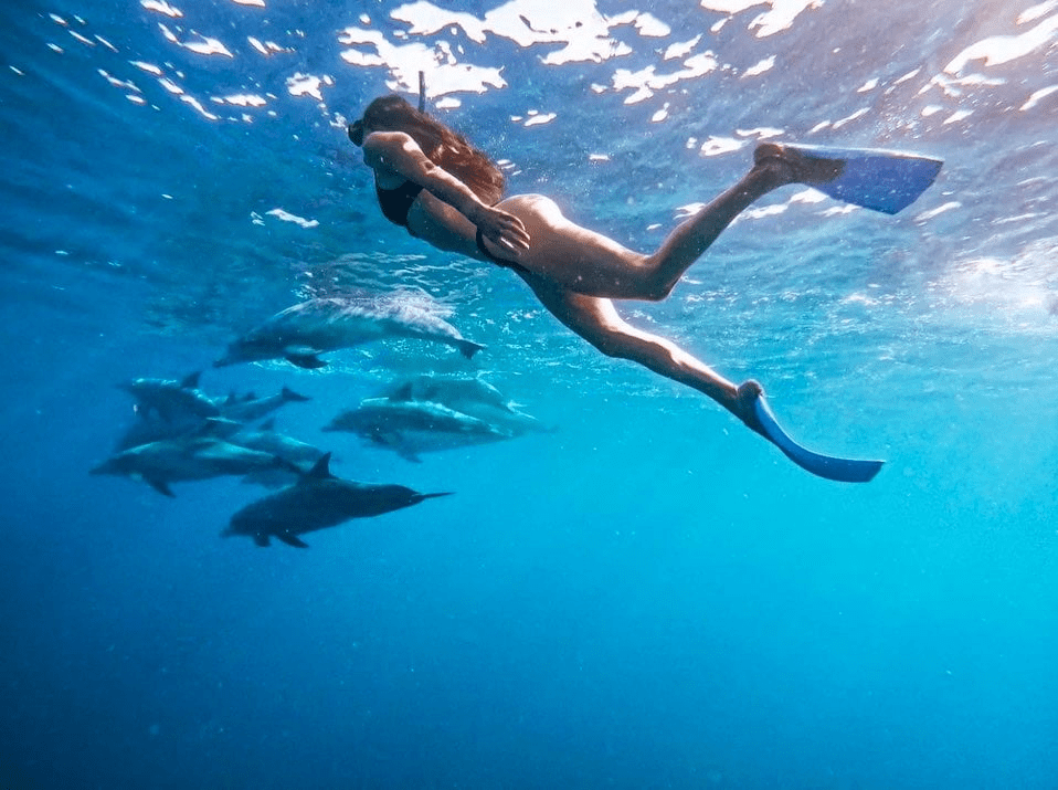 femme nage avec les dauphins - Nager avec les Dauphins à l'île Maurice femme nage avec les dauphins