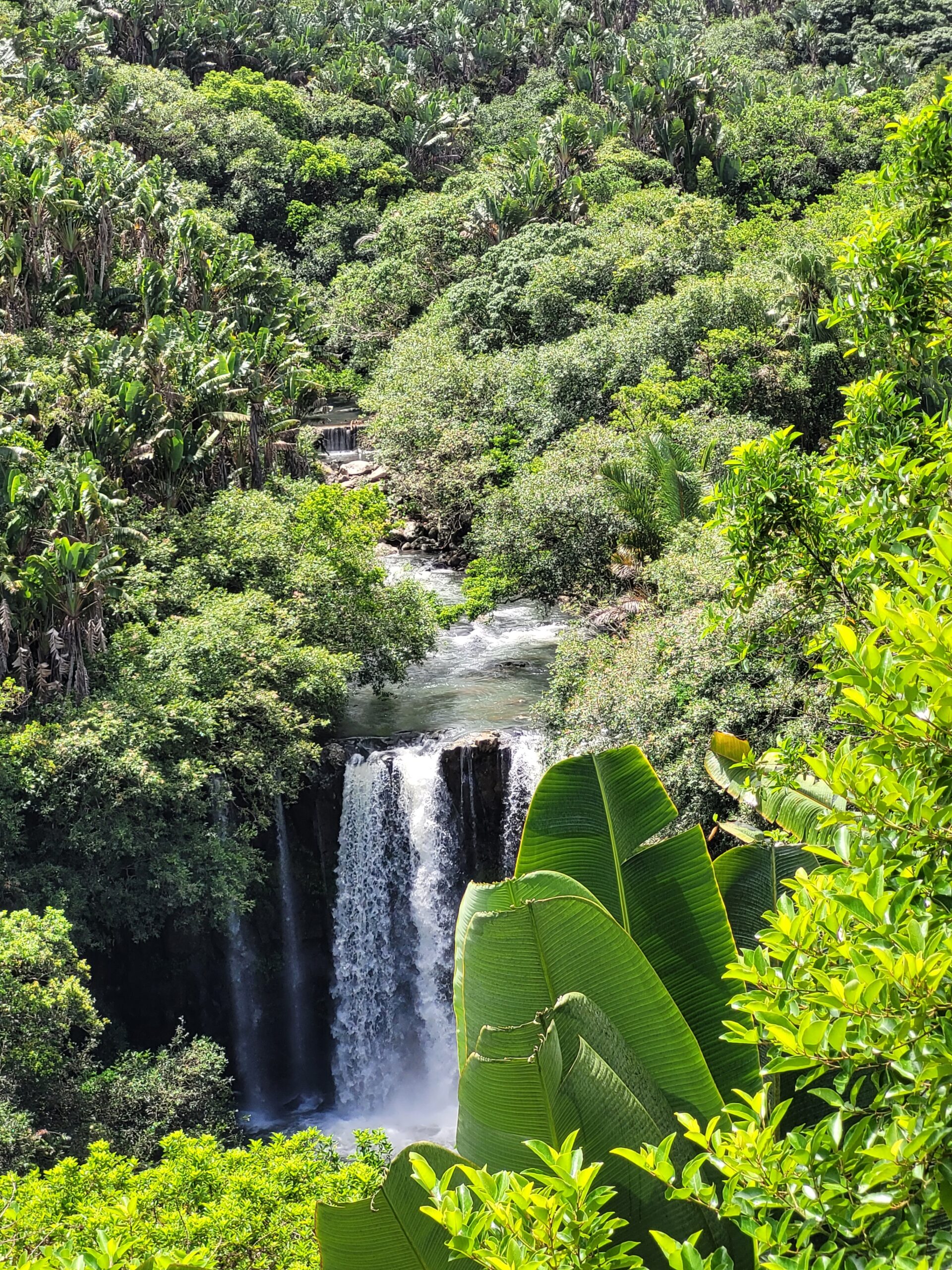 cascade leon lexil