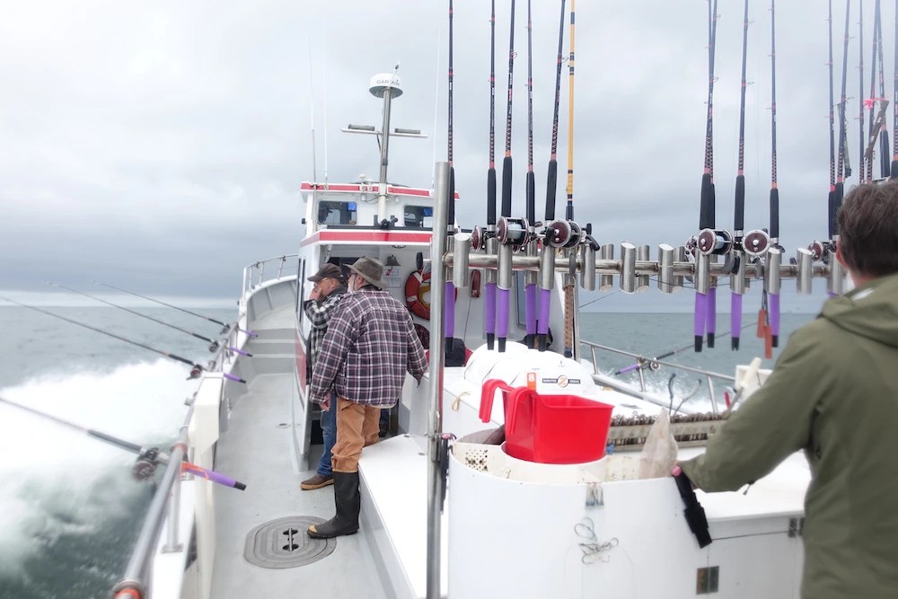 Charter Fishing Westport