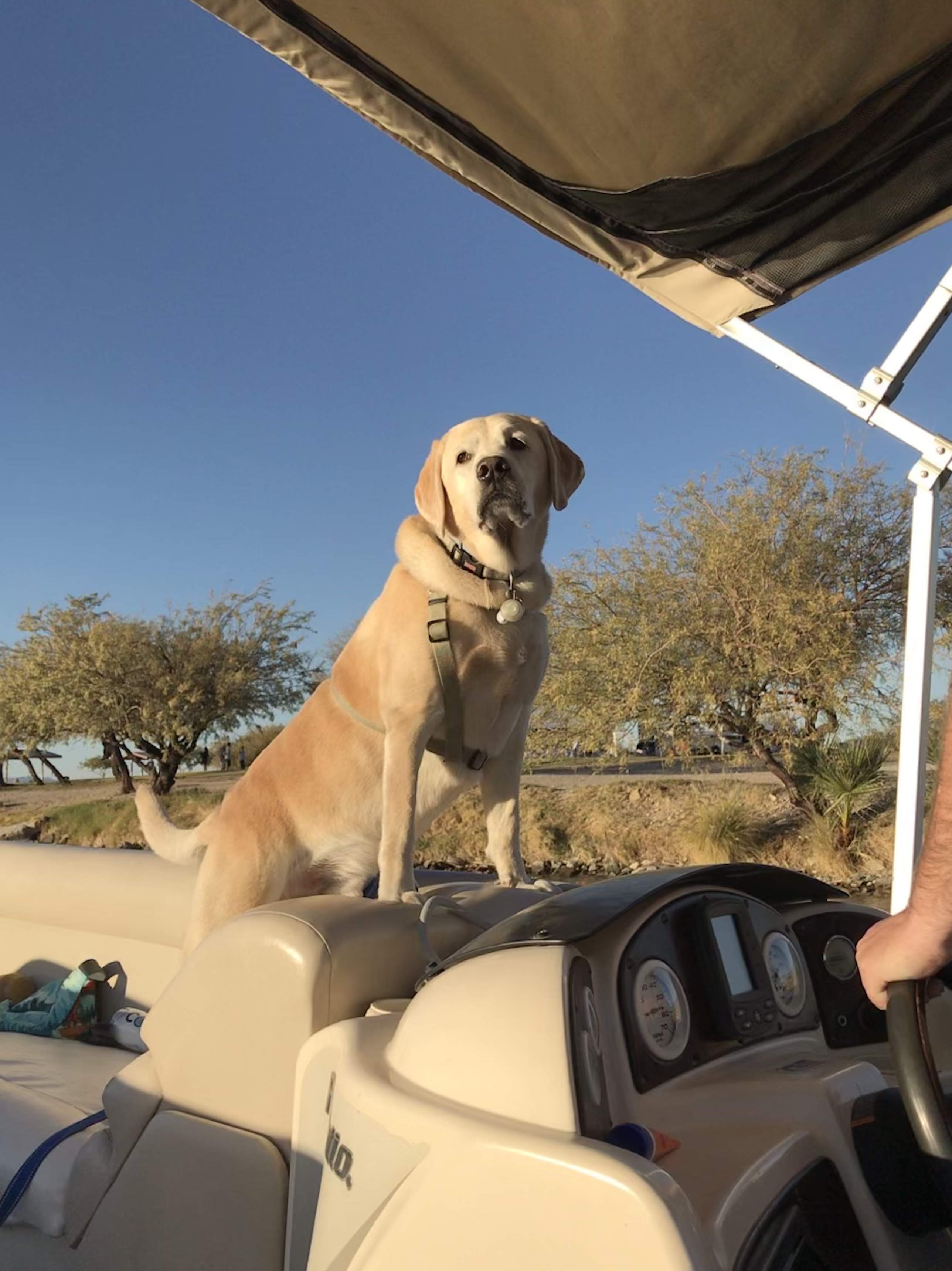 2C83ED75-DF9F-4D68-8D4D-C3CBCF8972BF