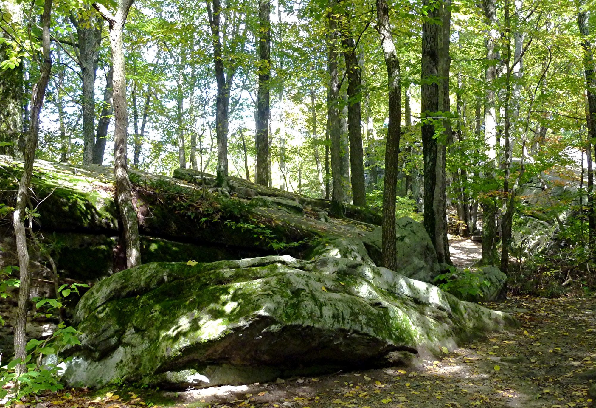 For harvest moon on the super nintendo, a gamefaqs q&a question titled how can i break the rock at the forest?. Beartown Rocks Visit Pa Great Outdoors