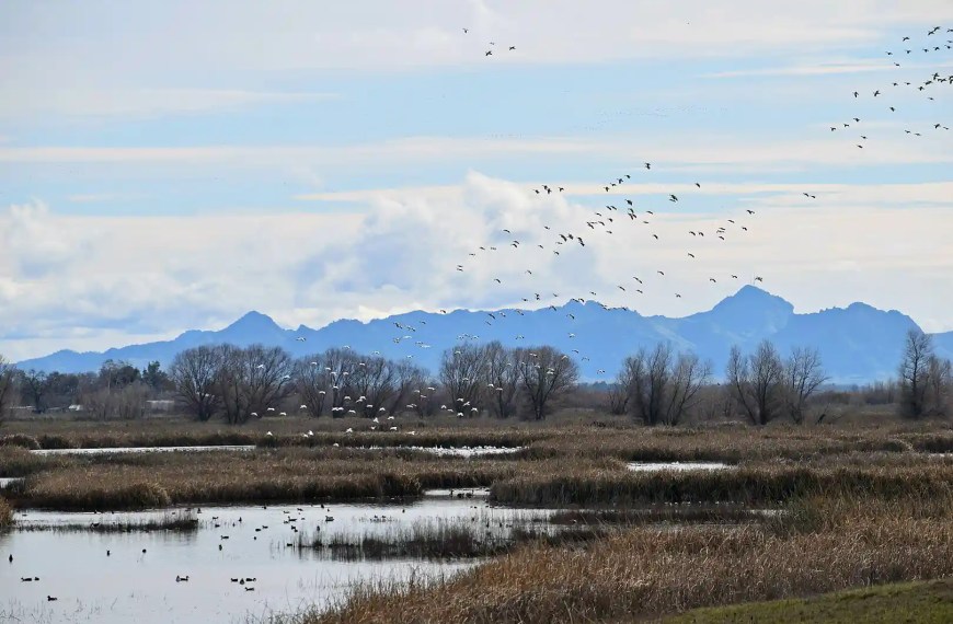 Sutter Buttes State Park
