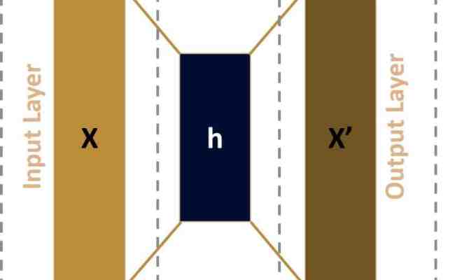 Exploring Autoencoders: Basics, Uses, And Applications