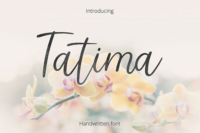 This script font is … Free Fonts For Commercial Use To Download In 2019