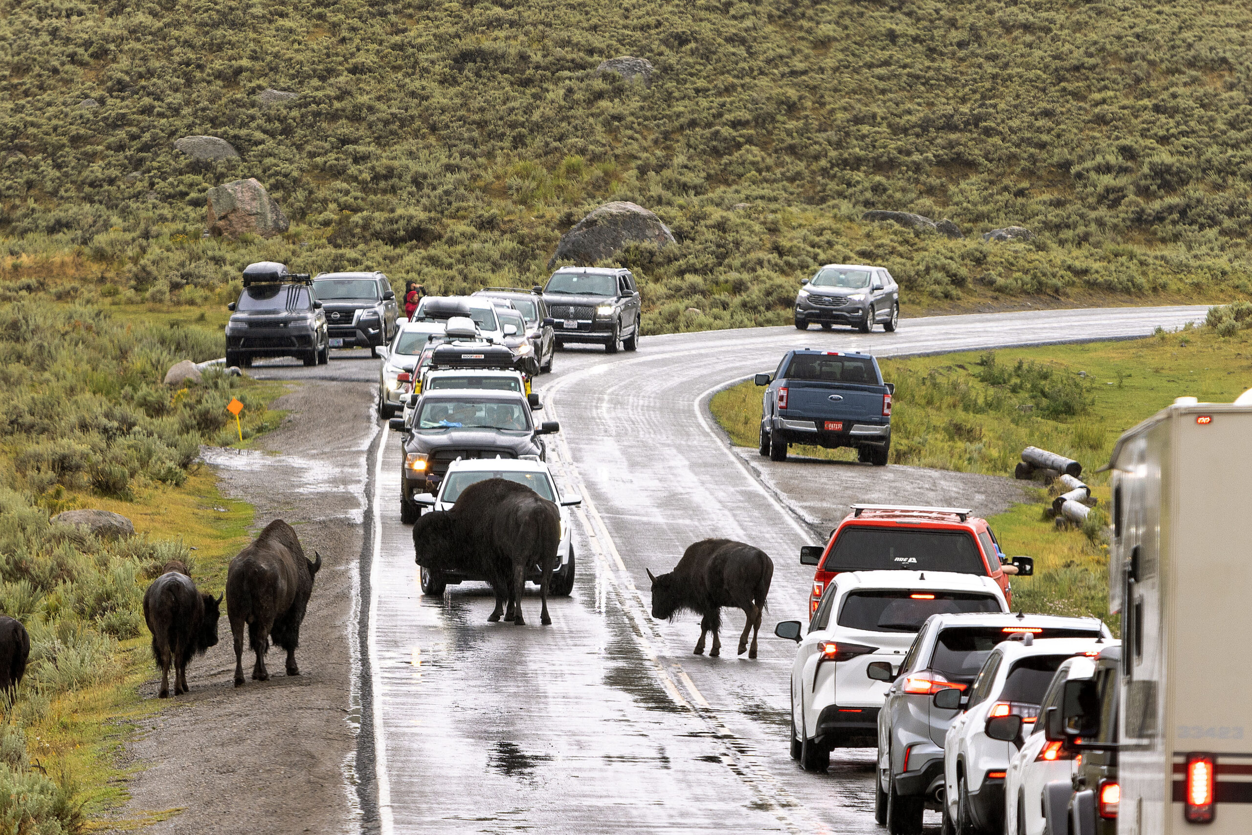 A Beautiful Visual Journey Of Yellowstone Visual Continuity 20230820 Yellowstone 493 Scaled 