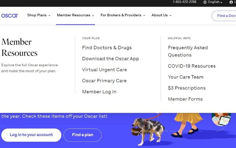 Multi Location Website Design Guide W Best Practices - Best Nature Illustrations in 8K