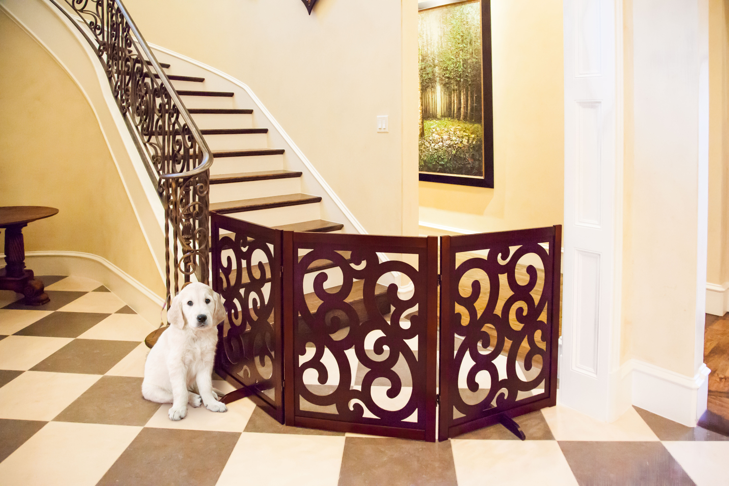 Decorative Pet Gates You Ll Love In 2020 Visualhunt