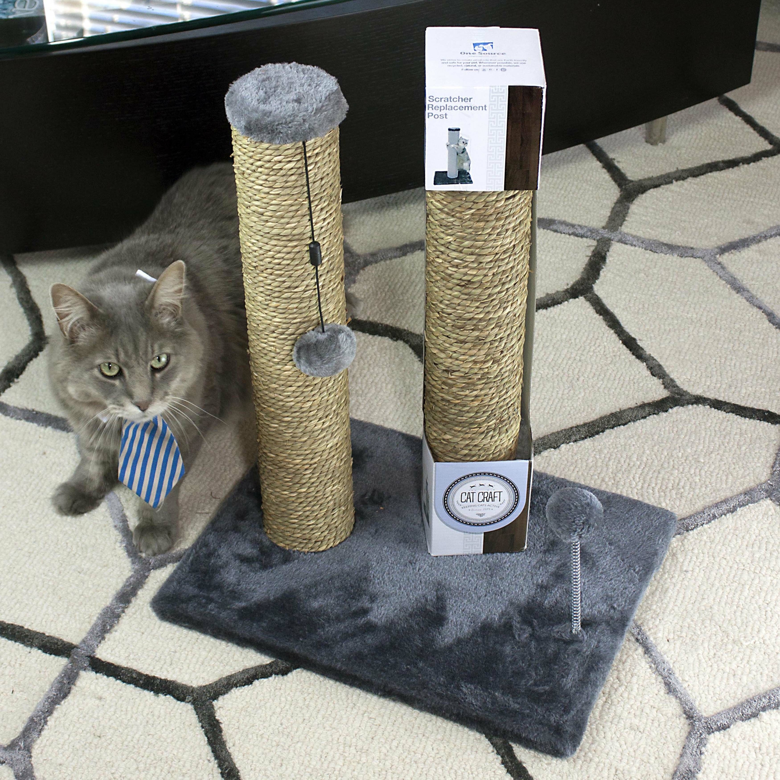 Expert tips to choose a cat scratcher and scratching post