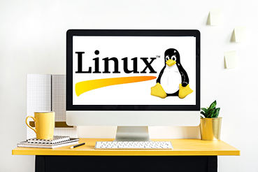 Articles Visualitynq - Premium Nature Art - Mobile