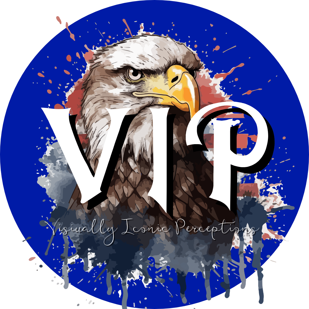 Visually Iconic Perceptions