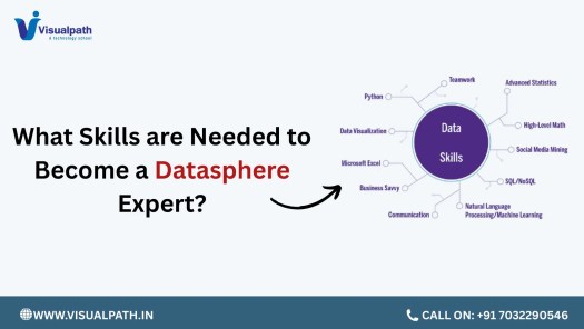 What Skills are Needed to Become a Datasphere Expert?