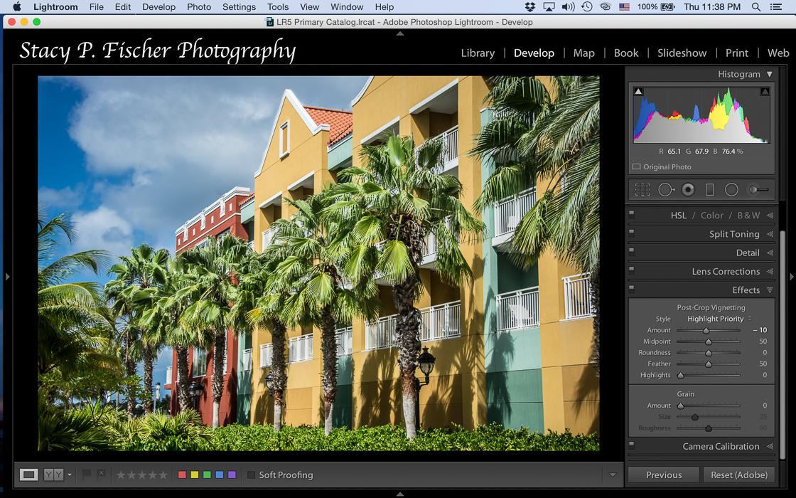 Application of a -10 post-crop vignette and the final image.