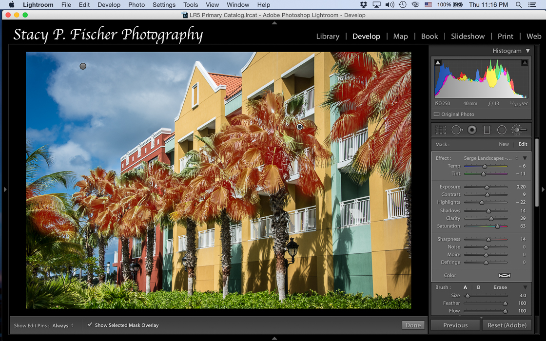 Back to the Basics Panel, I selected a "new" adjustment brush, this time loaded with the "Happy Trees" preset. Notice the new settings of the sliders.