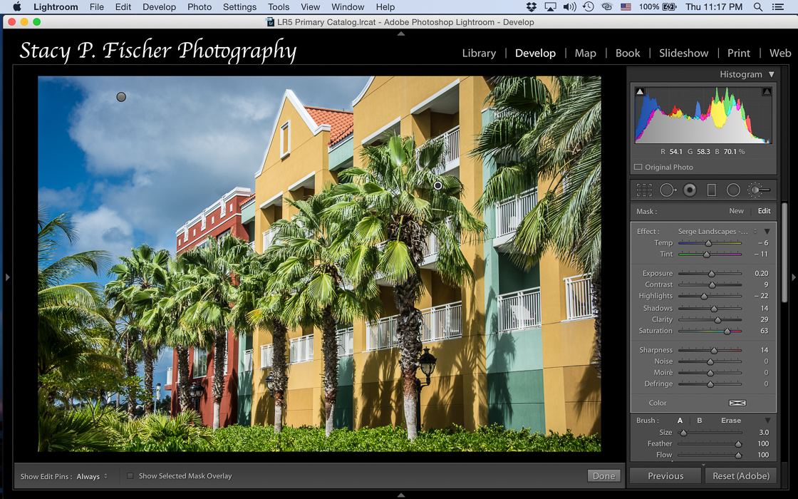 The effect of the Happy Trees adjustment brush.