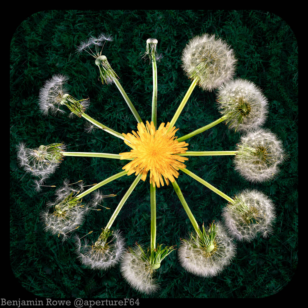 (After) Benjamin Rowe, Aperture 64