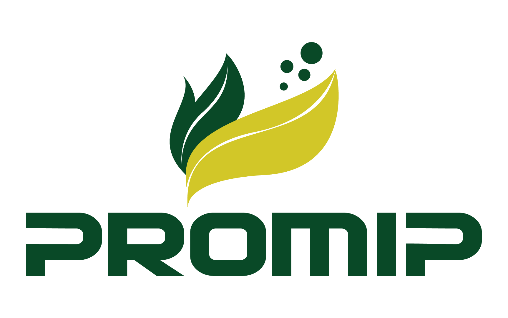 Promip – Logotipo: Logotipos, projeto da Visualy Publicidade
