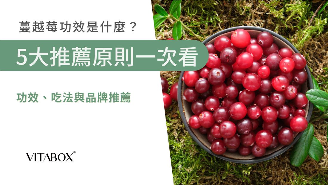 蔓越莓推薦