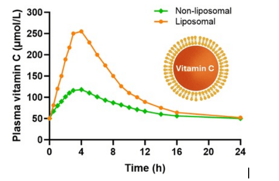 Comparison of plasma vitamin C levels: Liposomal vs Non-liposomal