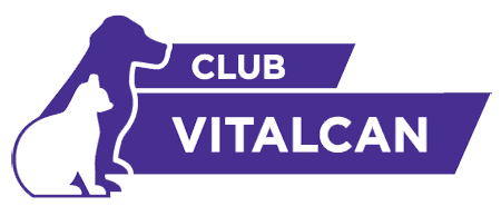 Belcan Vitalcan - Vintage Design Collection - Ultra HD Quality