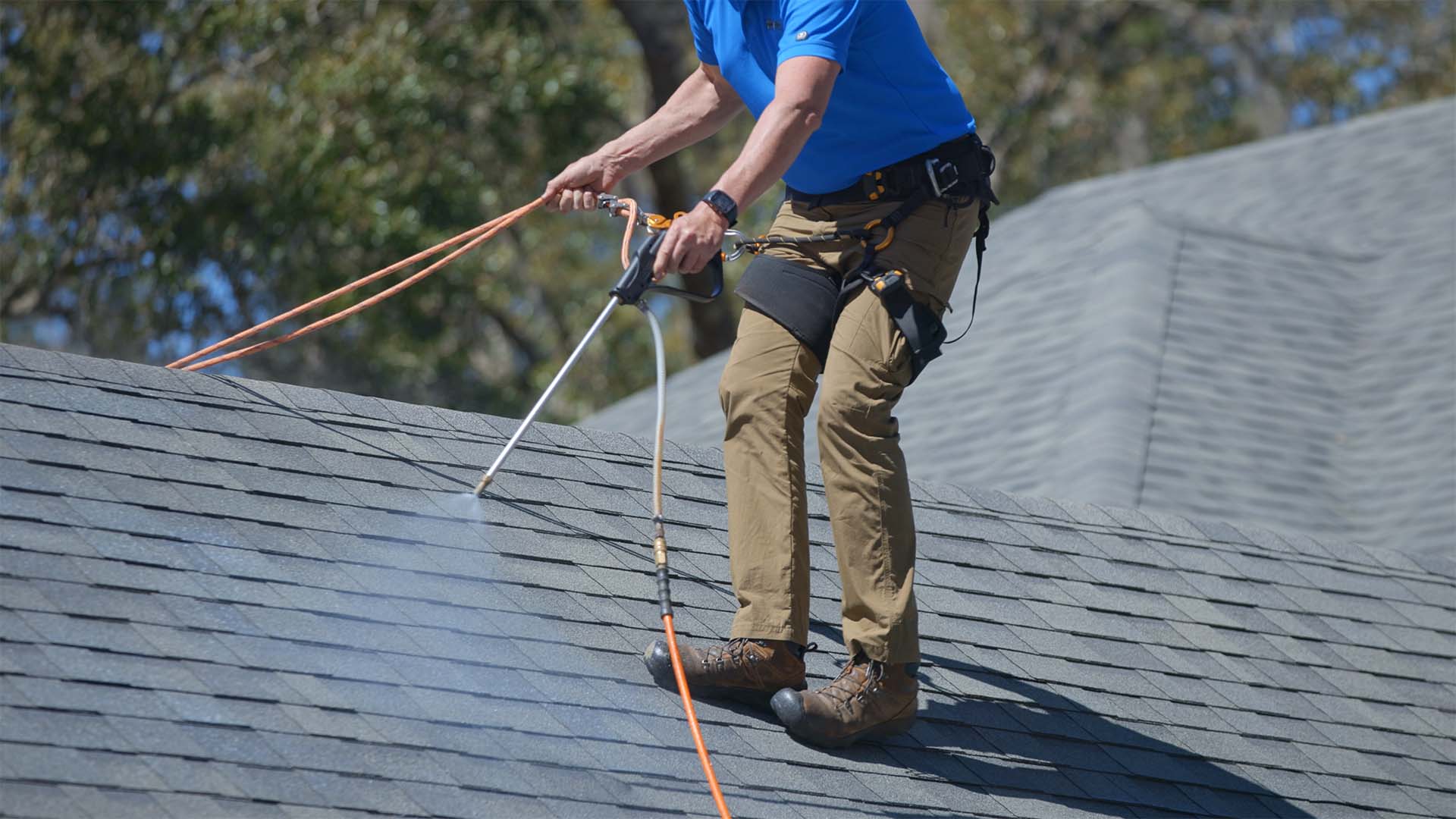 Shingle Shield Max - Vital Coat