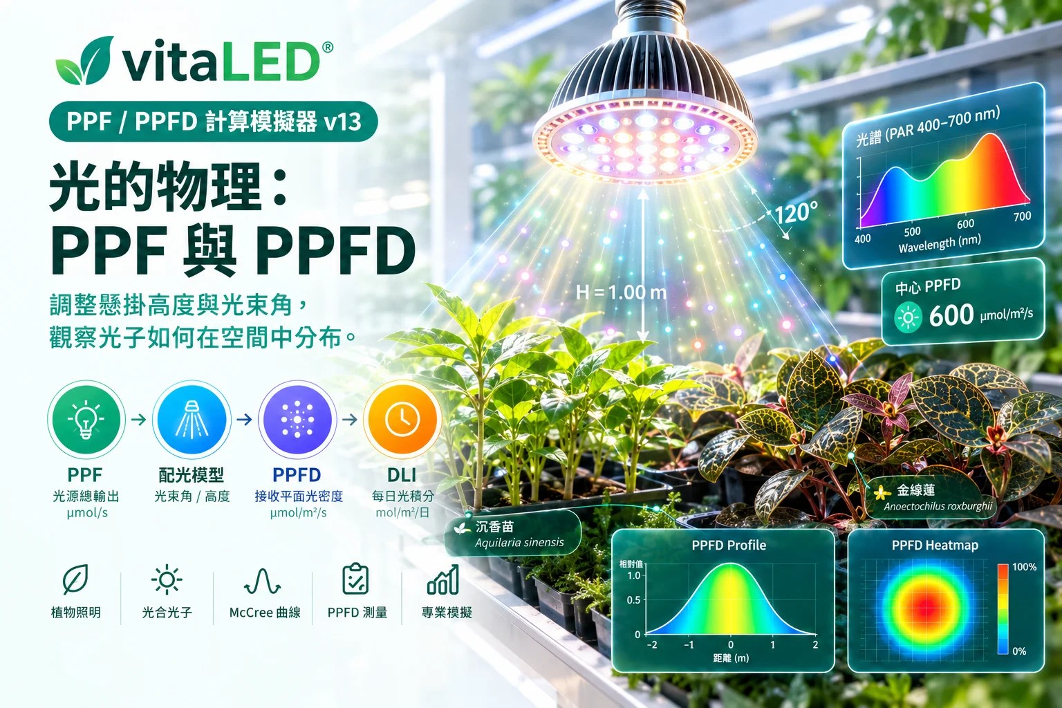ppf-ppfd-guide