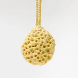 Small Yellow Sponge